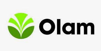 Olam